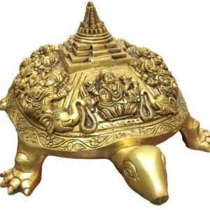 Turtle with Vastu